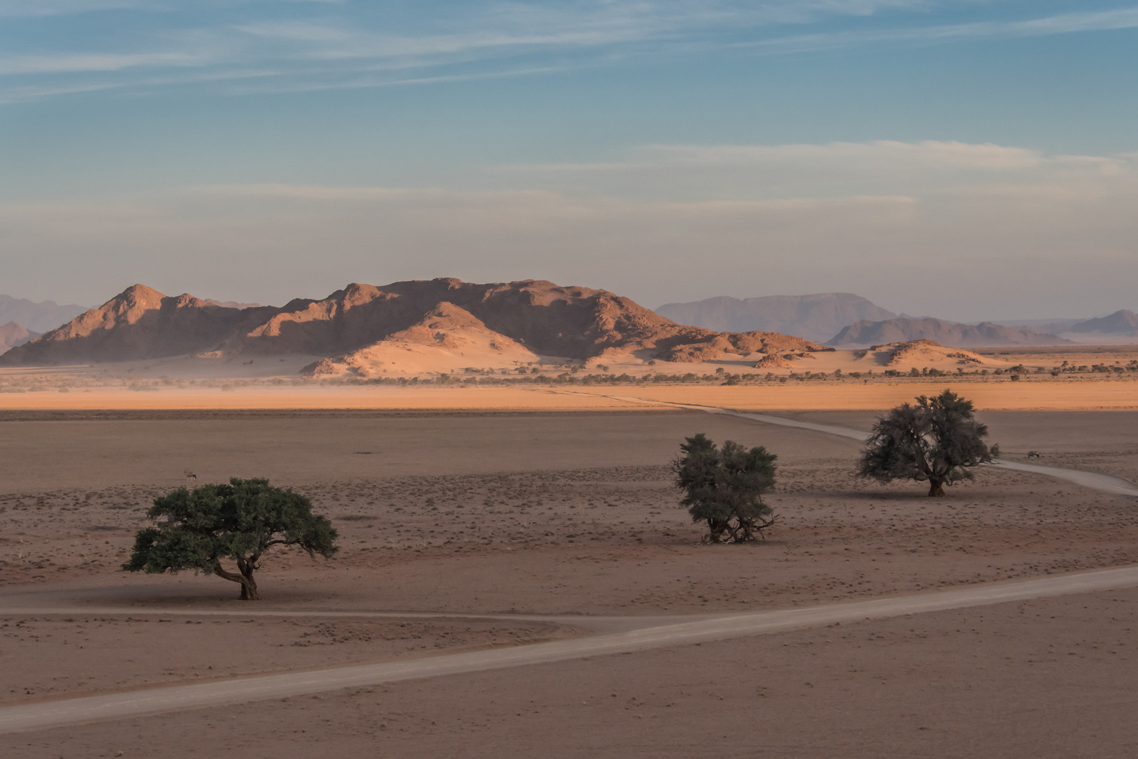 C1266 Namibia - Sossusvlei - Elim Dune