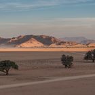 C1266 Namibia - Sossusvlei - Elim Dune