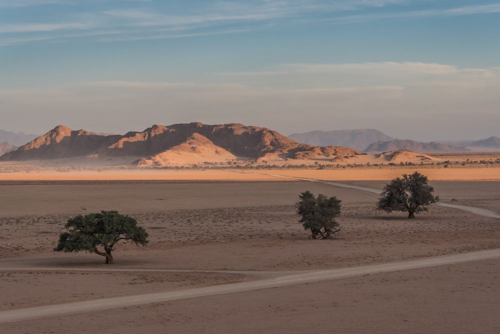 C1266 Namibia - Sossusvlei - Elim Dune