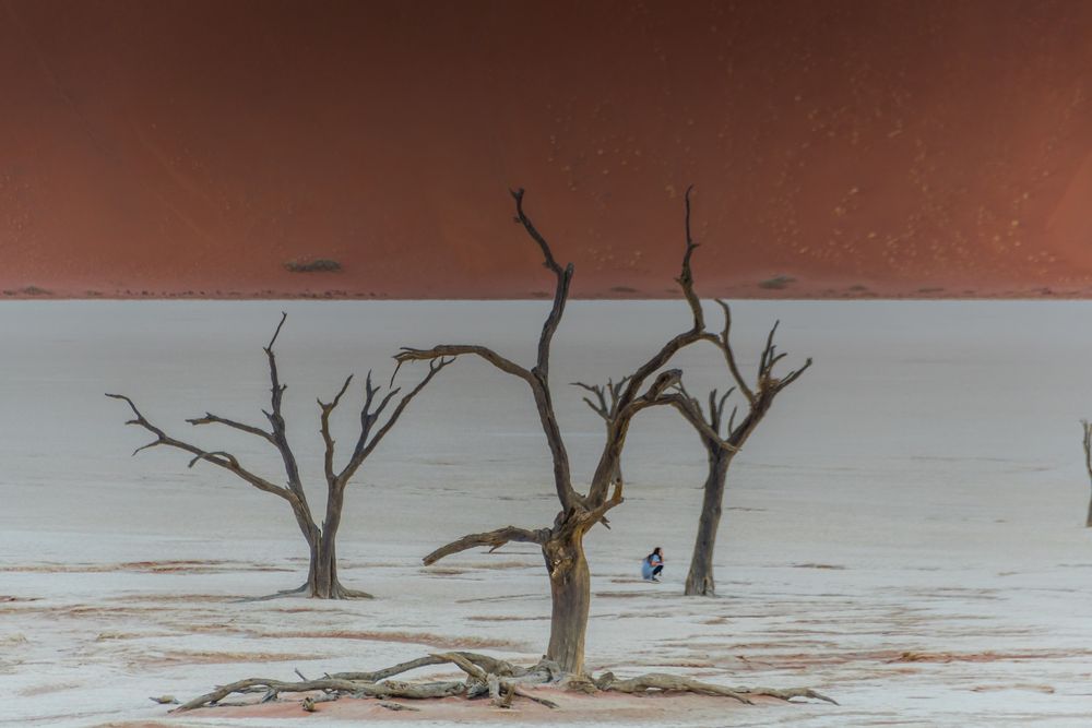 C1275 Namibia -  Dead Vlei