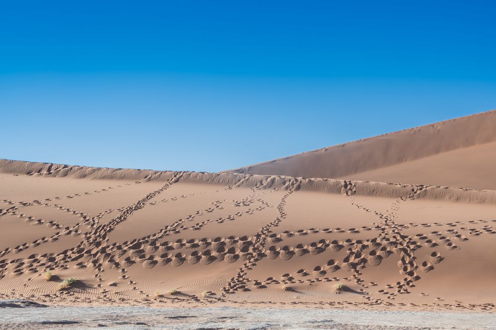 C1286 Namibia -  Sossusvlei - Spuren