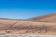 C1286 Namibia -  Sossusvlei - Spuren