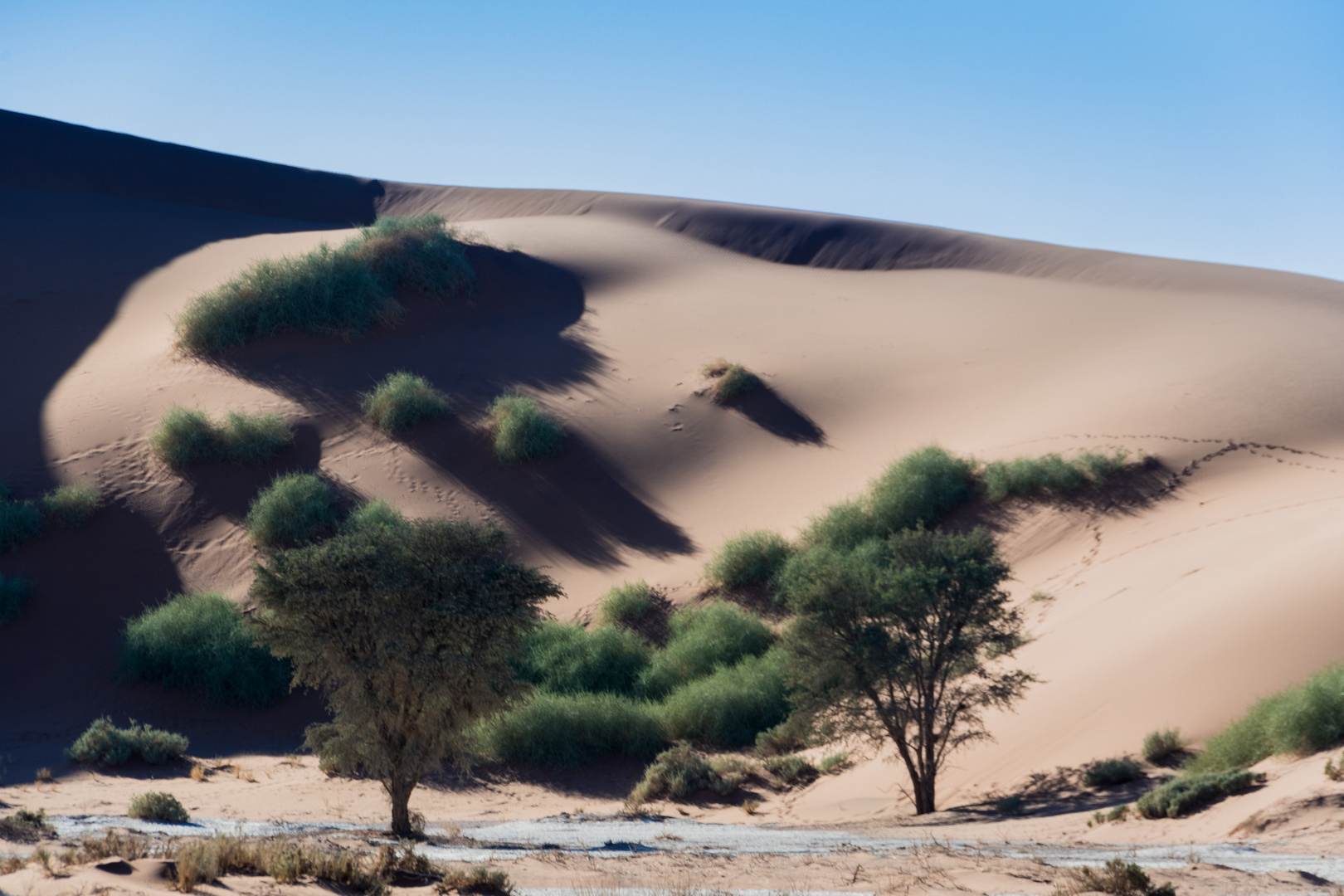 C1289 Namibia -  Sossusvlei