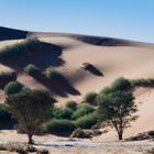 C1289 Namibia -  Sossusvlei