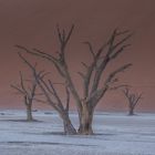 C1291 Namibia -  Dead Vlei