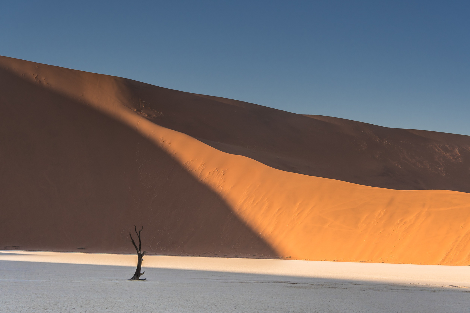 C1293 Namibia -  Dead Vlei