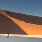 C1293 Namibia -  Dead Vlei