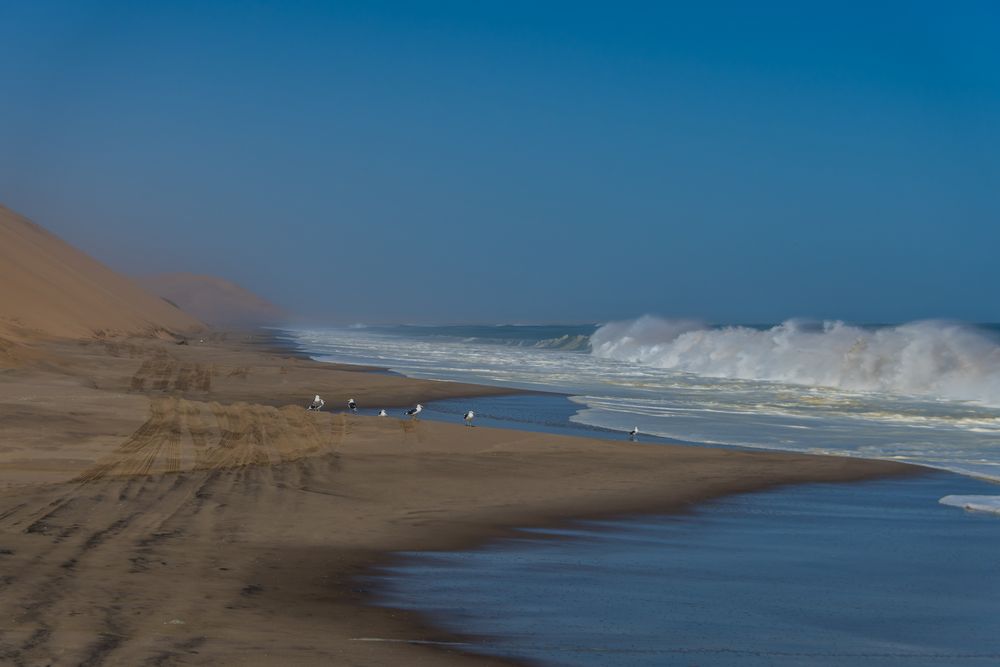 C1314 Namibia Sandwich Harbour