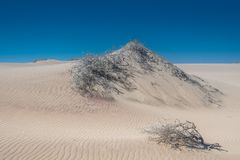 C1316 Namibia Sandwich Harbour