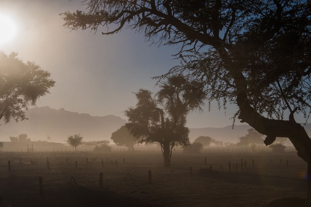 C1337 Namibia -  Sossusvlei