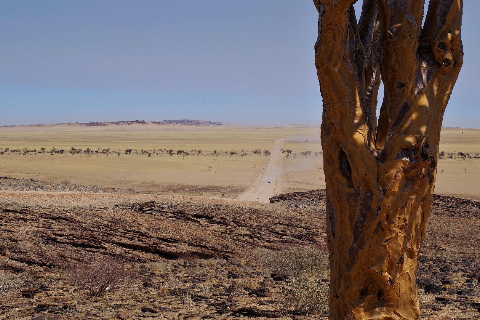 C14 Foto & Bild | africa, southern africa, namibia Bilder auf fotocommunity