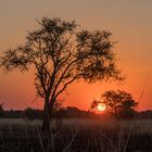 C1410 Namibia - Chobe River