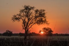 C1410 Namibia - Chobe River