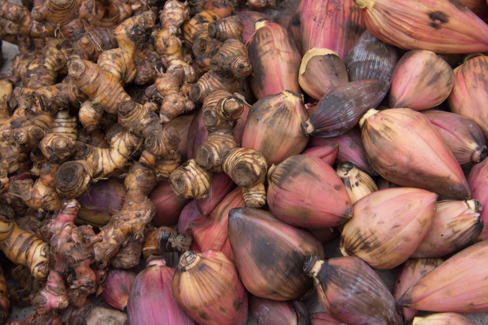 C1500 Food Laos - Luang Probang