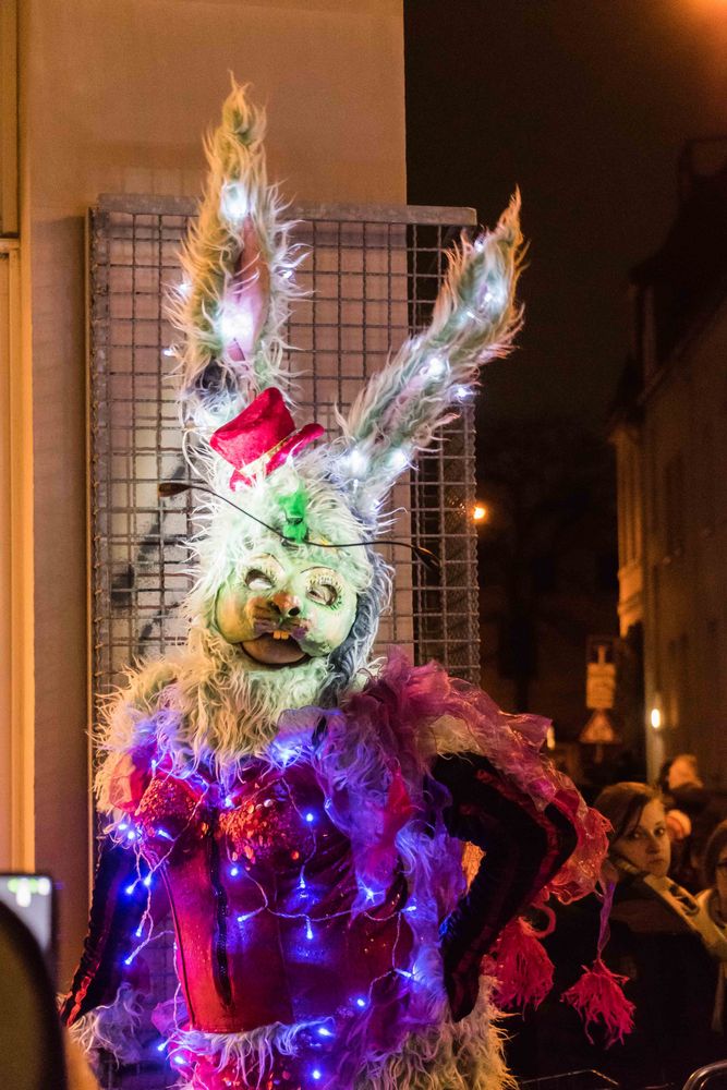 C1517 Samba Karneval - Lichtertreiben