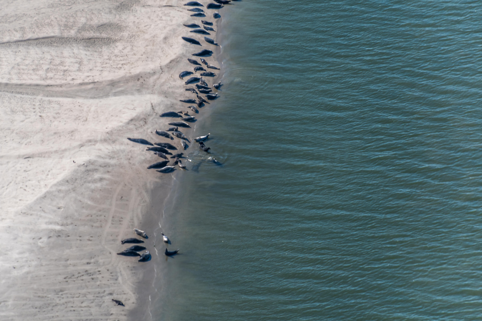 C1563 Flug über das Wattenmeer