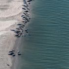 C1563 Flug über das Wattenmeer