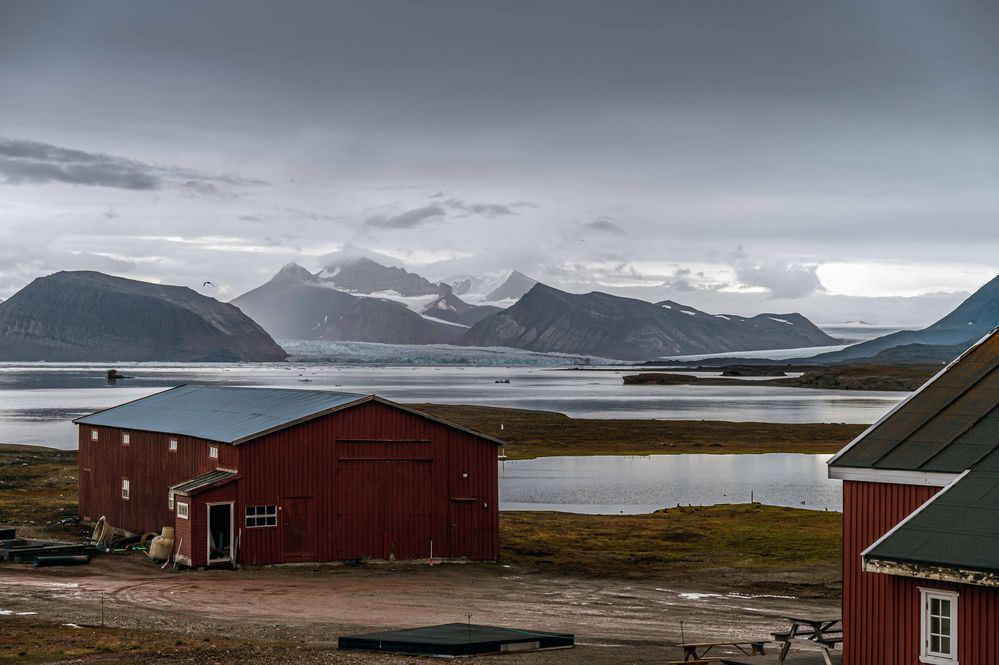 C1899 Spitzbergen - Ny Ålesund