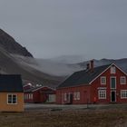 C1909 Spitzbergen - Ny Ålesund