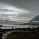 C1910 Spitzbergen - Ny Ålesund