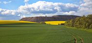 Frühling im Mansfelder Land von Richard Bartlitz