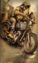 easy rider by photo-josephine