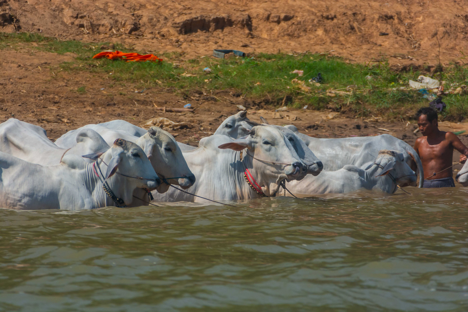 C2021 Kambodscha Schnellboot nach Phnom Penh