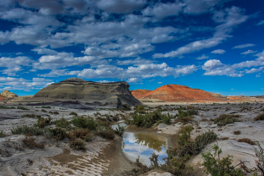 C2038 Bisti Badland - USA