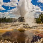 C2050 Yellowstone - USA