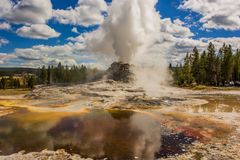 C2050 Yellowstone - USA