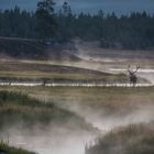 C2057 Yellowstone - USA