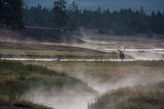 C2057 Yellowstone - USA