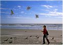 Feeding seaguls by Christos Banos 