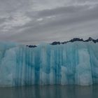 C2136 Spitzbergen - Monacobreen