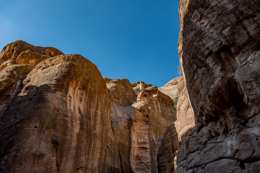 C2197 Jordanien - Petra