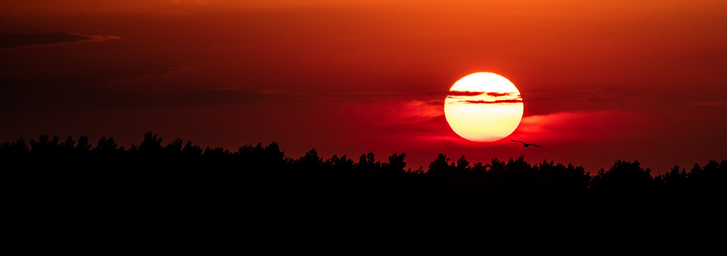 Baltic sunset. by Matthias Zipp