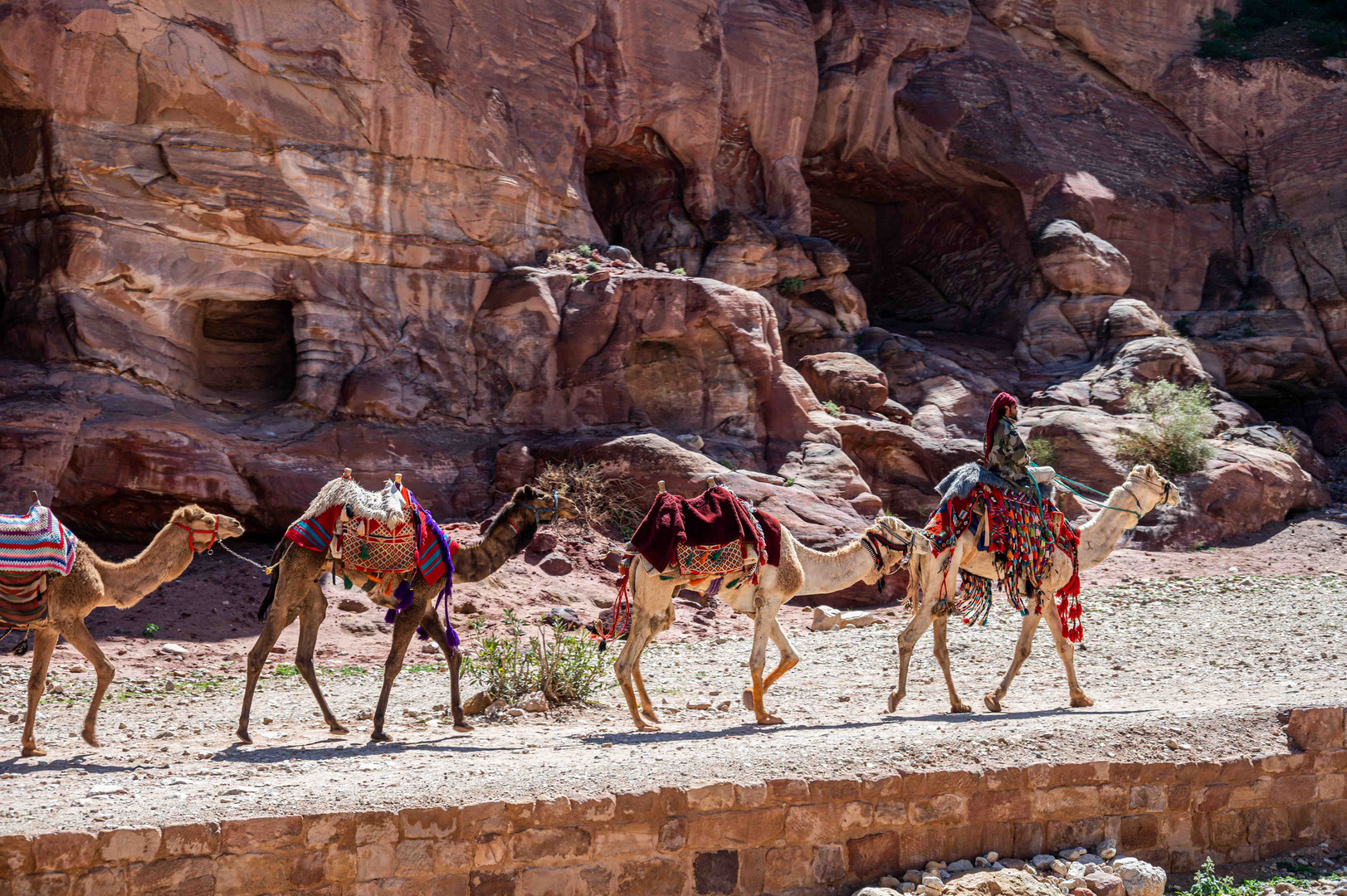 C2274 Jordanien - Petra