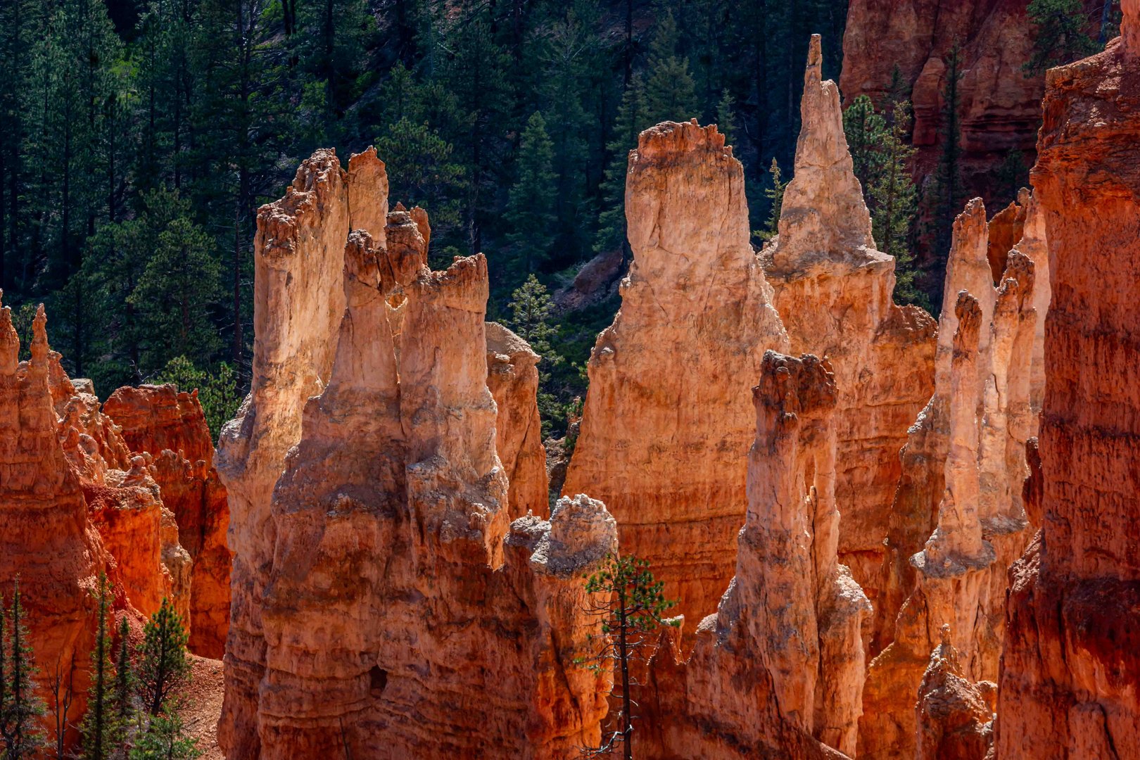 C2302 Bryce Canyon