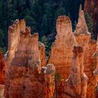 C2302 Bryce Canyon