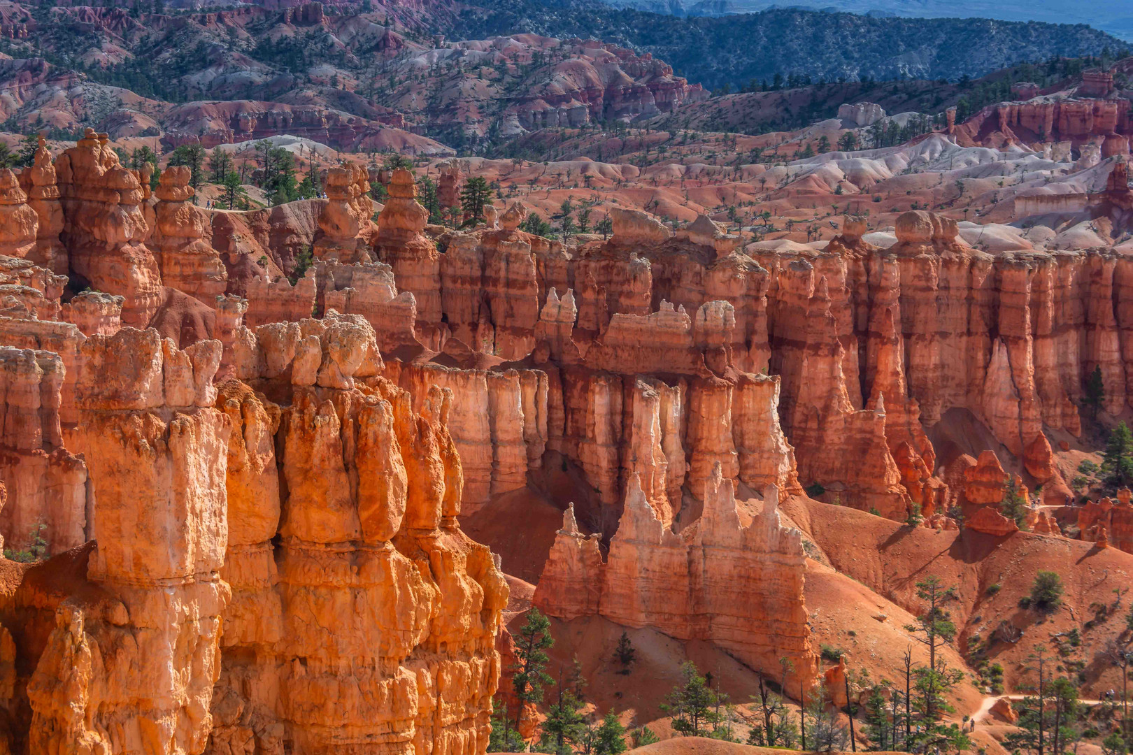 C2303 Bryce Canyon