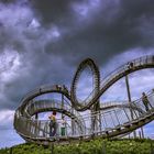 C2462 Duisburg - Tiger and Turtle