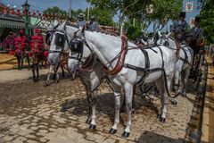 C2570 Feria de Abril -Sevilla - Andalusien