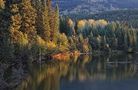 Indian Summer in Banff von Julia Wylenzek