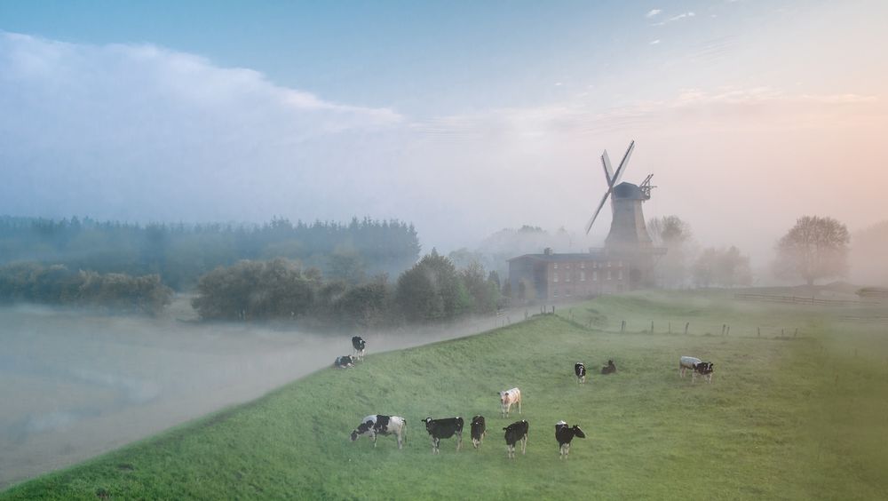 Galerieholländer "Caroline" im Morgennebel von Gundula Ida Gäntgen