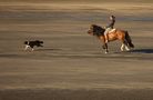 Patagonian way of life by Agapy 