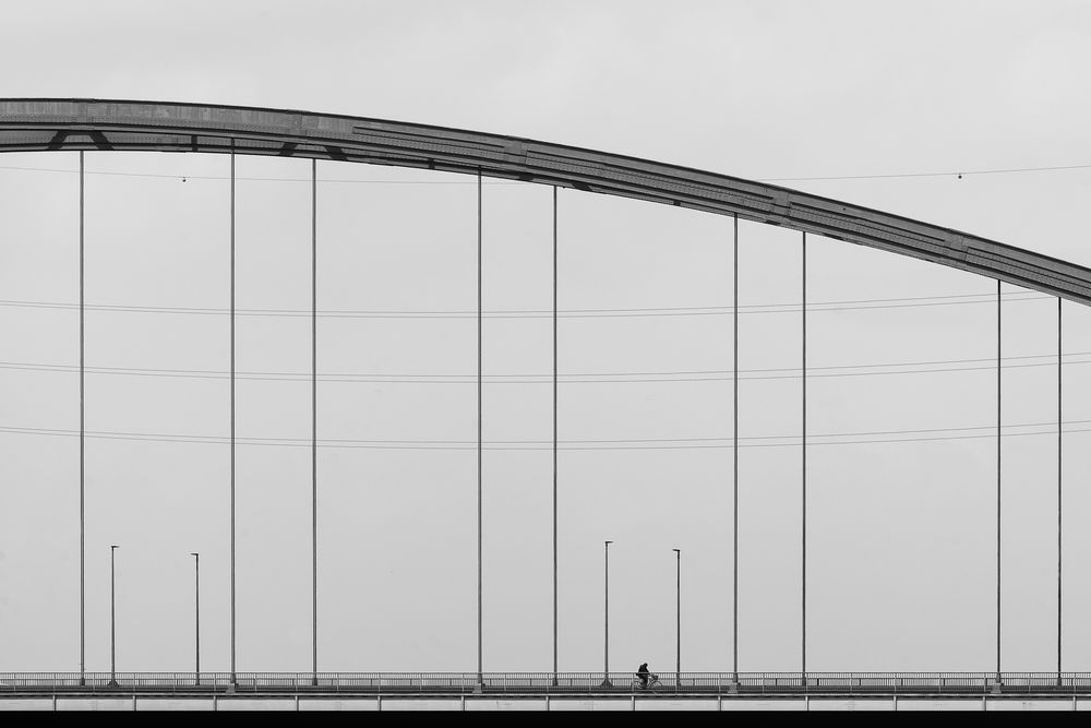 cyclist von blackwhite1