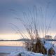 Winter am See