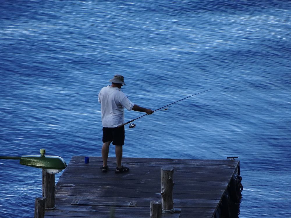 Pescador de Alegrías de Vladybachez