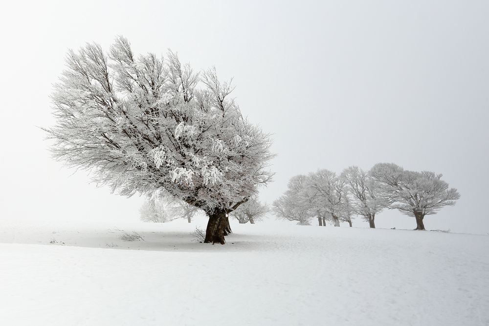 Einsame Winterlandschaft von K.-F. Schöpp