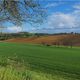 Paysage de Lomagne au printemps